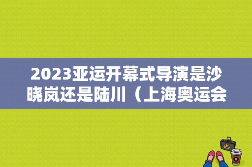 2023亚运开幕式导演是沙晓岚还是陆川（上海奥运会开幕式）