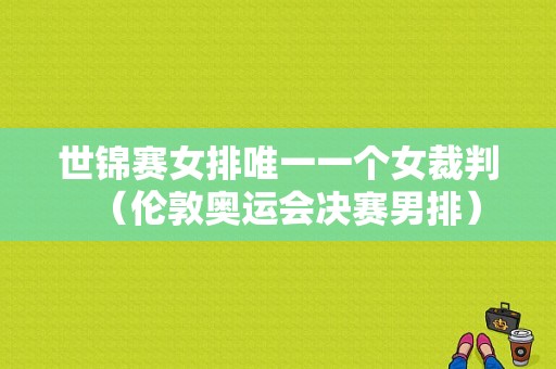 世锦赛女排唯一一个女裁判（伦敦奥运会决赛男排）