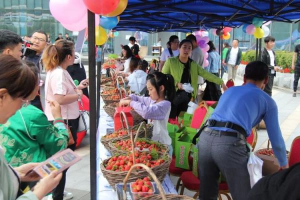 关于采摘节的宣传主题和口号？奥运会条幅