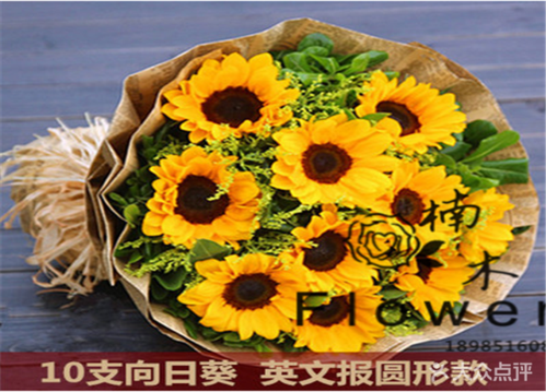 为什么奥运会的花是向日葵？奥运会鲜花