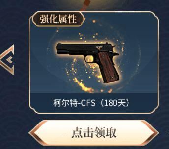 cfs大赛允许用什么枪？奥运会枪支