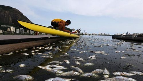 海绵有污染吗？奥运会污染