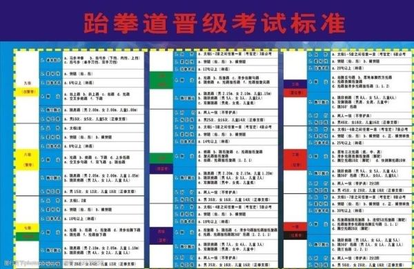 跆拳道单招文化课多少分（奥运会跆拳道考级）