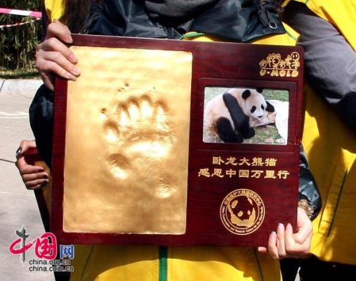 8只奥运熊猫分别叫什么名字（奥运会 熊猫）