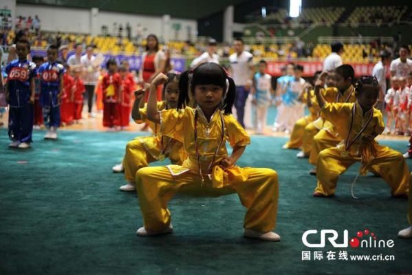 全是小孩这些小孩都有武艺最后还去武术队比赛有一个（奥运会武术儿童）