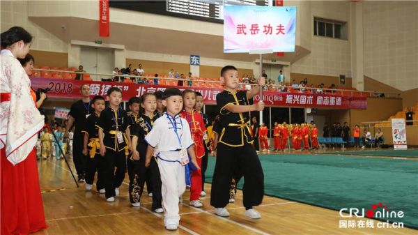 全是小孩这些小孩都有武艺最后还去武术队比赛有一个（奥运会武术儿童）