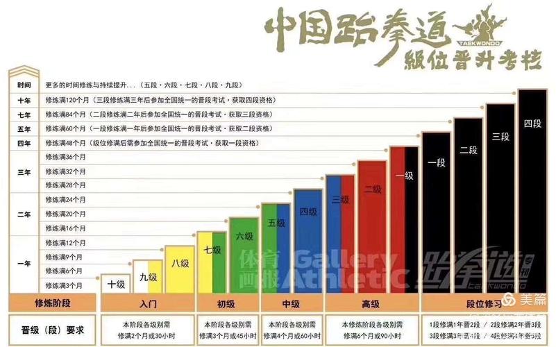 跆拳道奥运会级别划分（奥运会跆拳道等级）