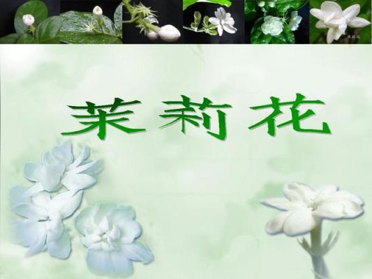 茉莉花音乐鉴赏（雅典奥运会闭幕式 茉莉花）