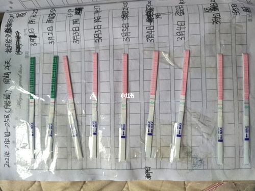 45岁经济条件一般还要孩子吗（奥运会什么时候开始测排卵）