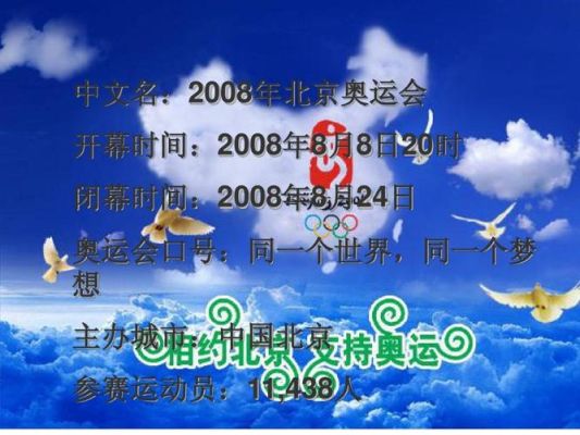 2008奥运会总策划是谁（冬奥运会策划）