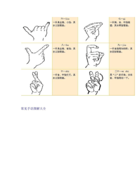 国际手语使用范围（奥运会项目手语）