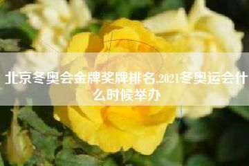 2021冬季奥运会歌曲（冬音乐奥运会）