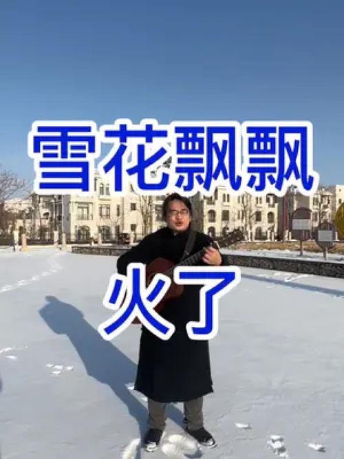 东北下雪的搞笑文案（东北奥运会bgm）