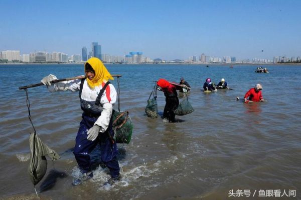 第一次青岛怎么玩（东京奥运会蛤蜊）