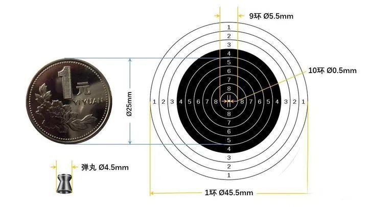 奥运射击靶子有多大（奥运会气枪含金量）